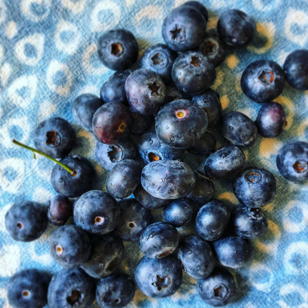 pick of the week blueberries