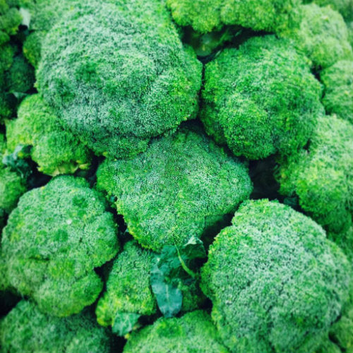 pick of the week broccoli harris farm