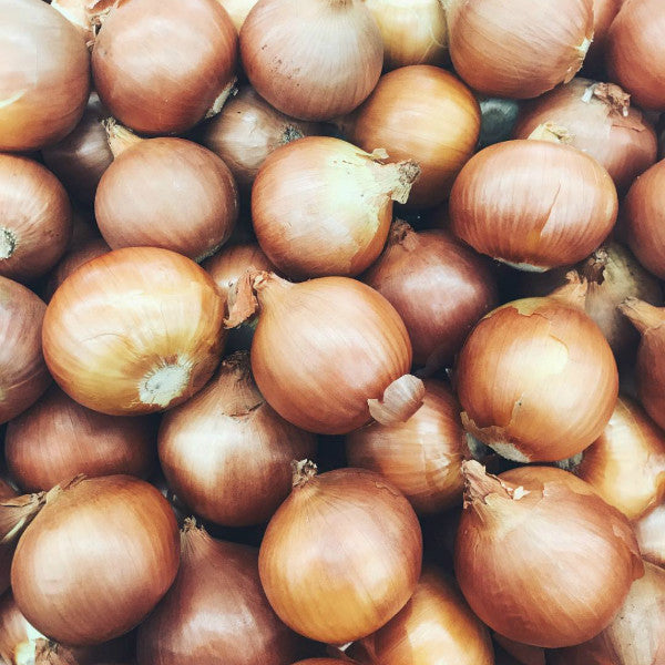 pick of the week brown onions harris farms