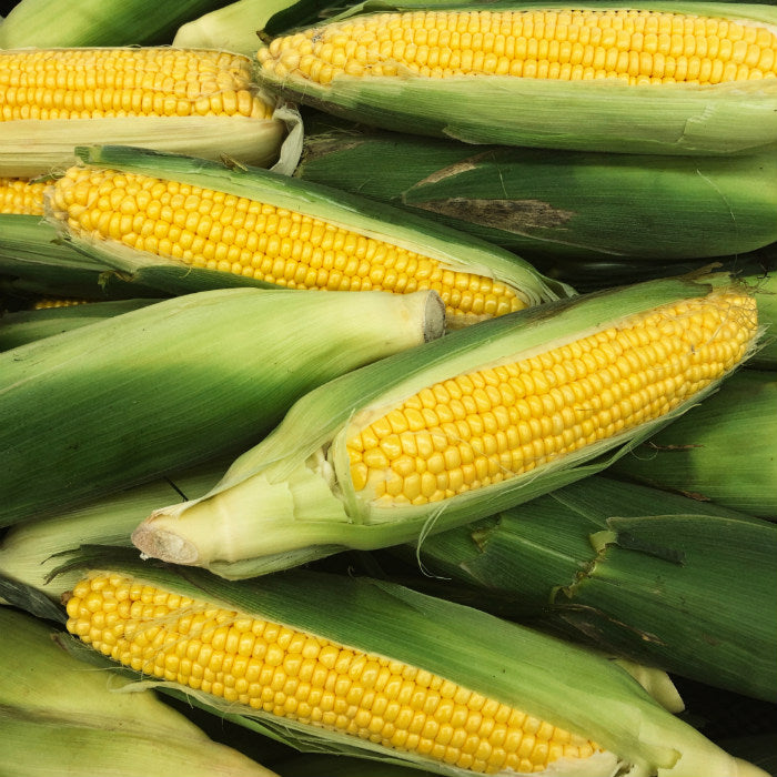 pick of the week corn harris farms