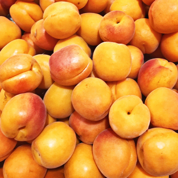 apricots pick of the week
