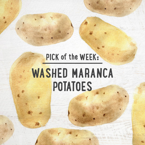 pick of the week washed maranca potatoes