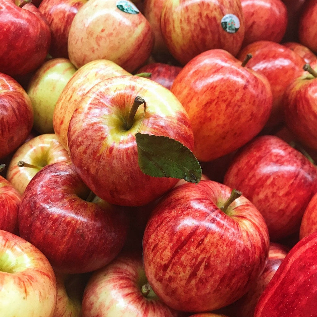 Dave's Pick of the Week - New Season Royal Gala Apples