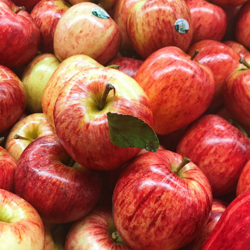 Pick of the Week - New Season Royal Gala Apples