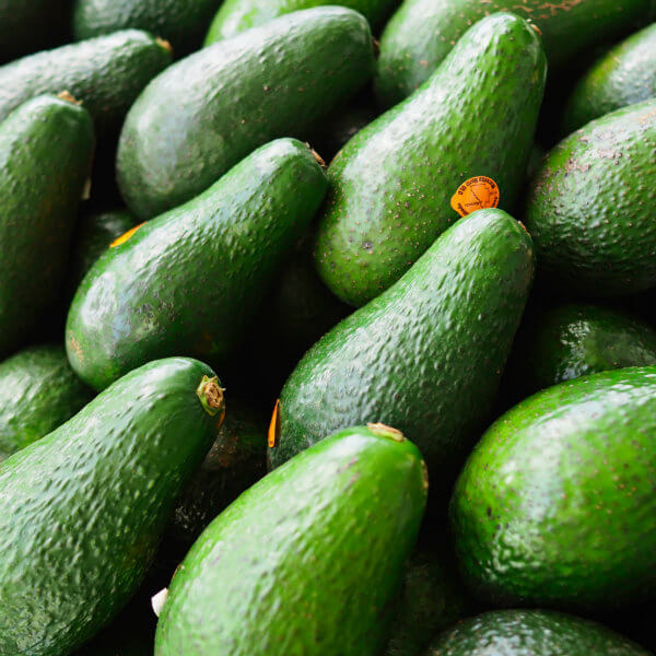 pick of the week Shepard avocados