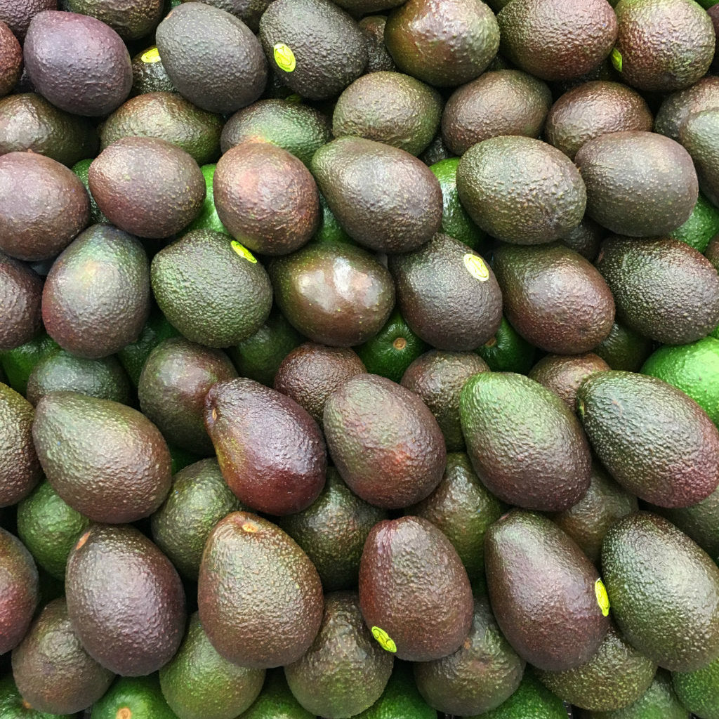 Pick of the Week - Western Australian Avocados