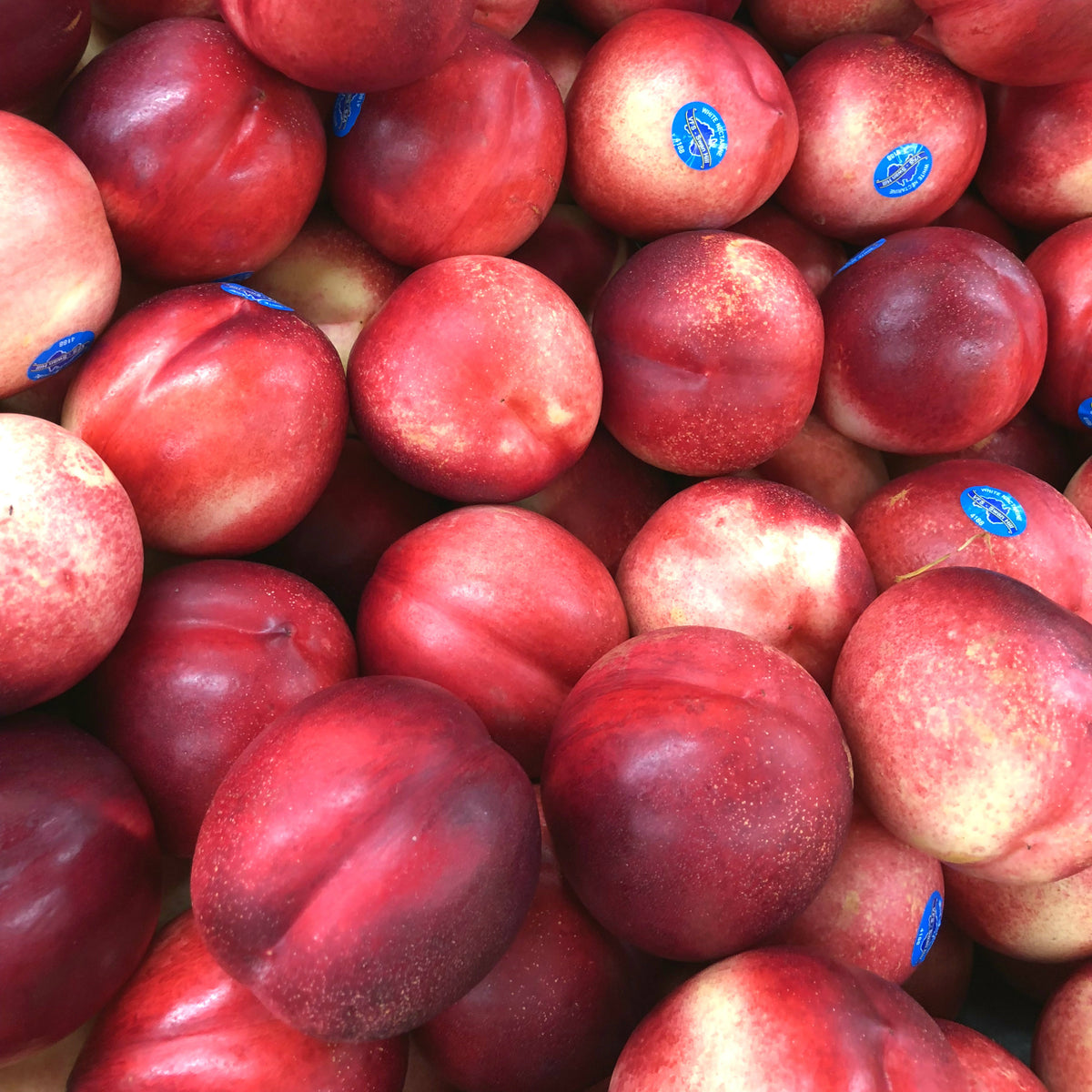 Pick of the Week – White Nectarines