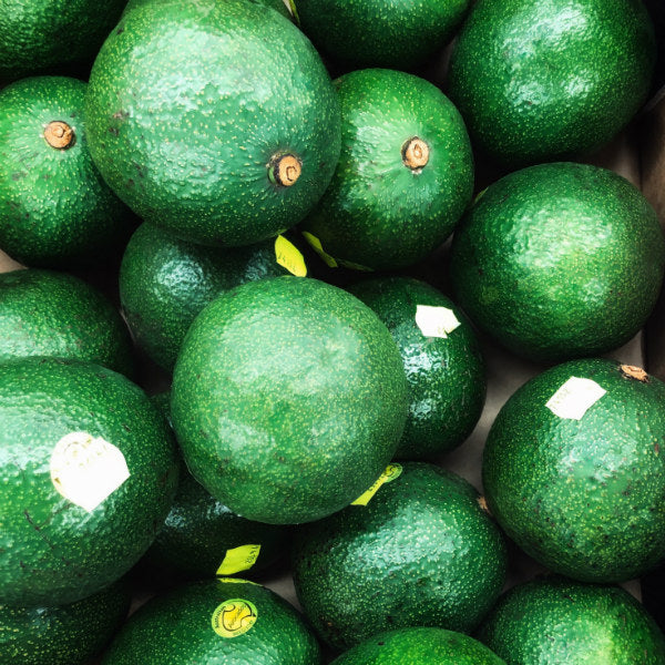 reed avocados harris farm