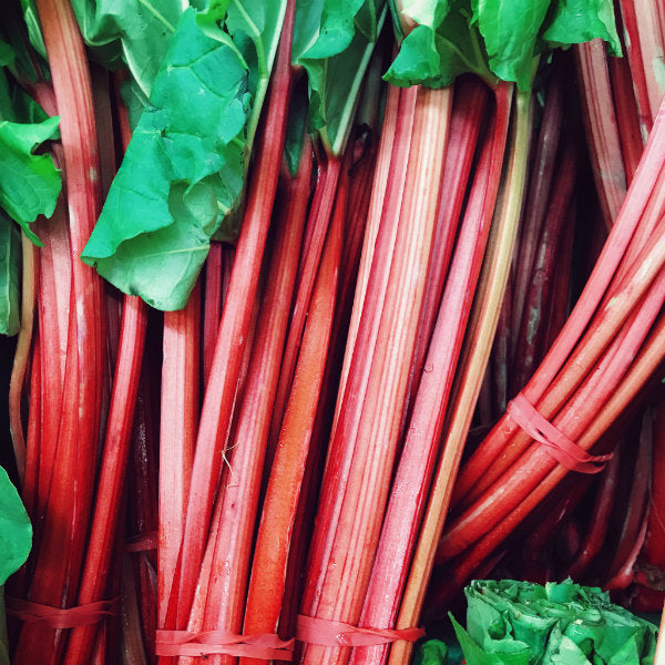Pick of the Week - Rhubarb