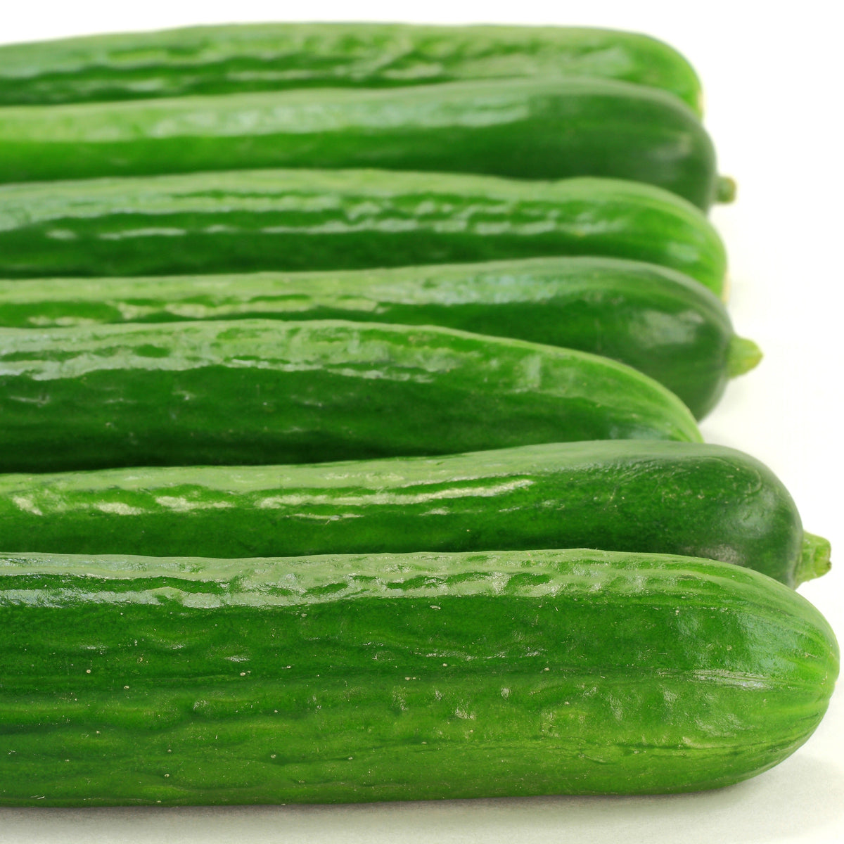 Pick of the Week - Lebanese Cucumbers
