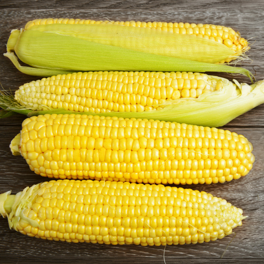 Pick of the Week - Sweet Corn