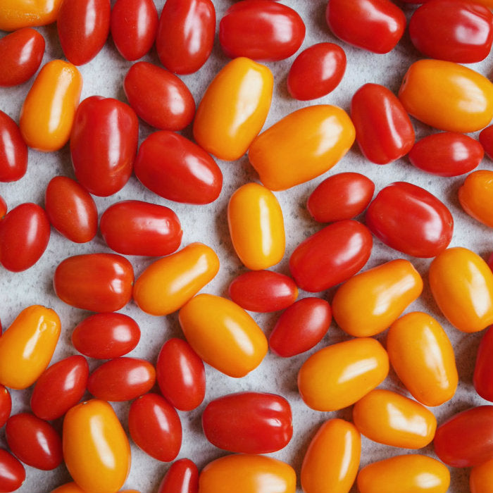 snacking tomatoes pick of the week