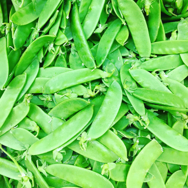 snow peas pick of the week