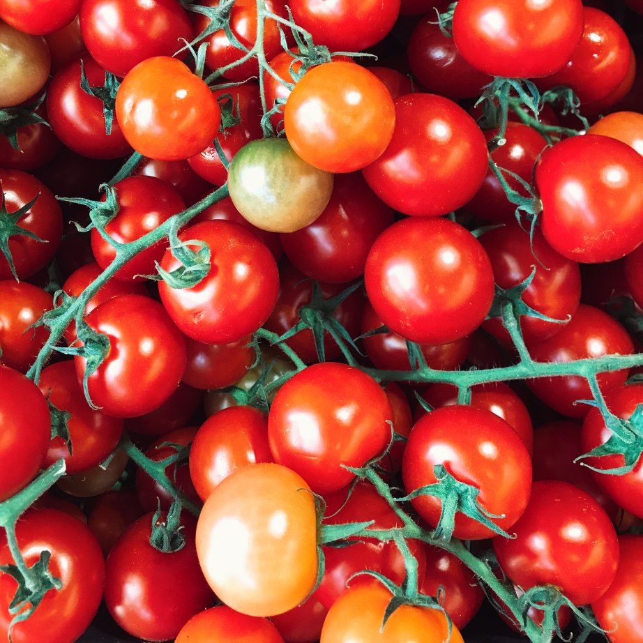 Pick of the Week - Truss Tomatoes