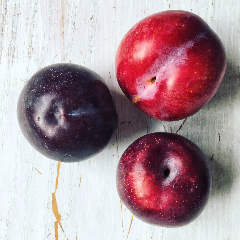 Pick of the Week - Tegan Blue Plums