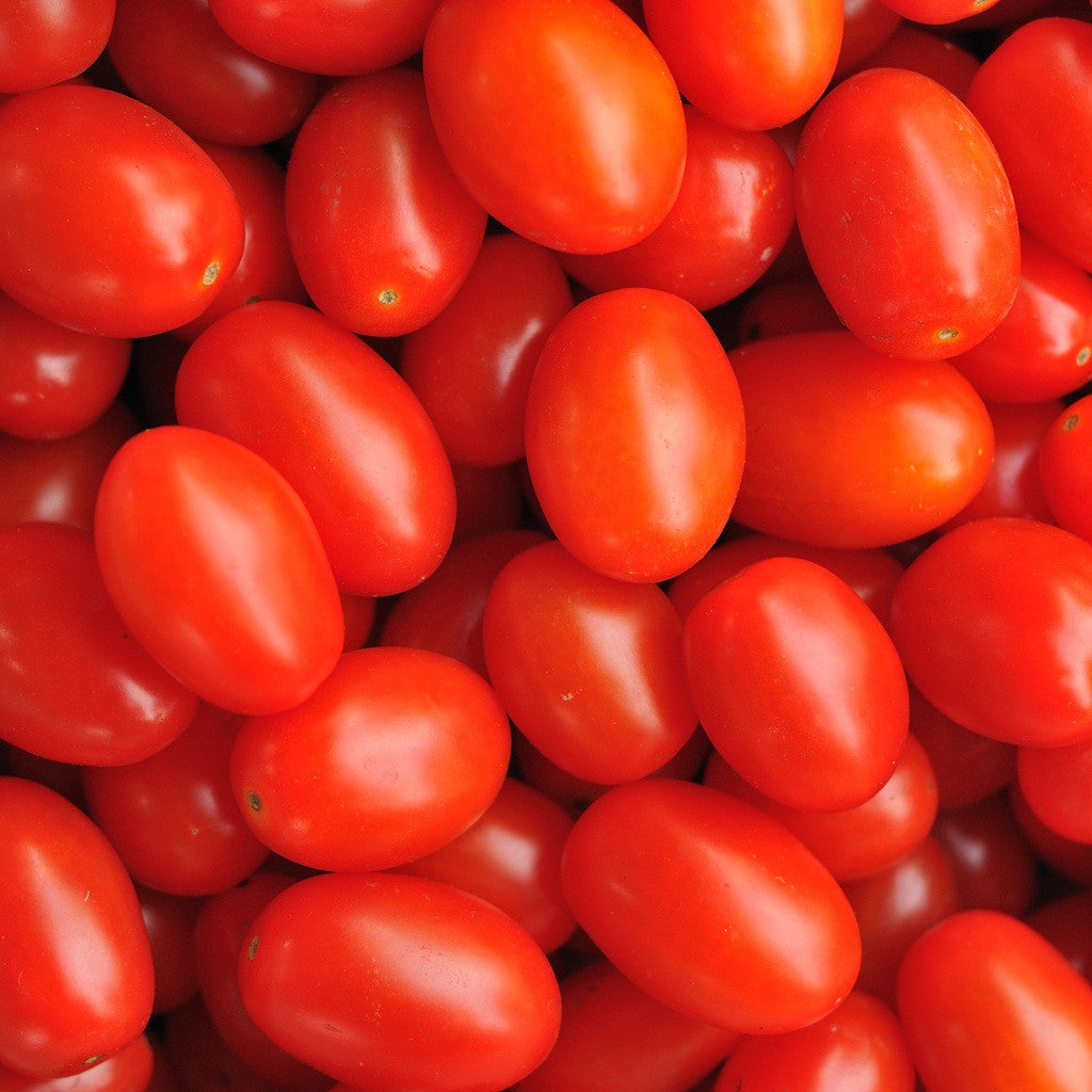 Pick of the Week - Sweet Delights Snacking Tomatoes