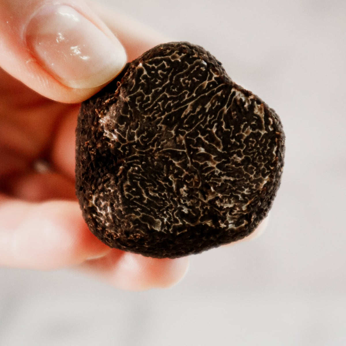 Coomer Truffles: A Culinary Delight