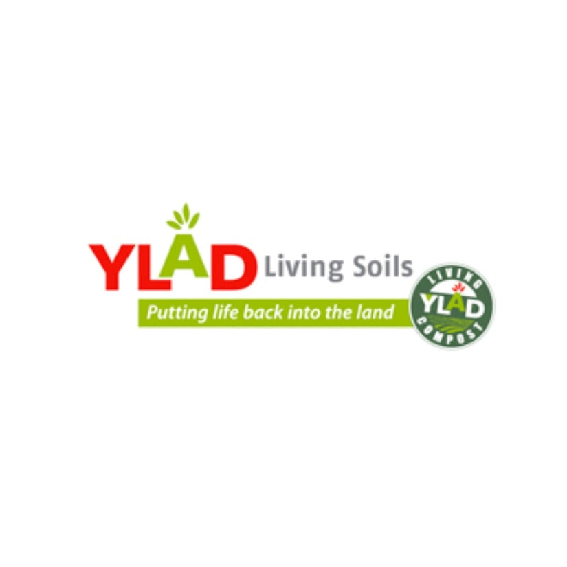 YLAD logo 