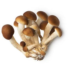 Mushroom Pioppino LA 150g