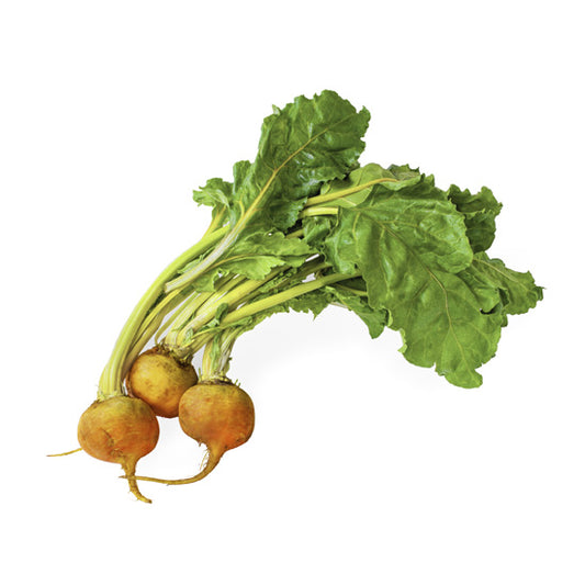 Beetroot Golden Bunch