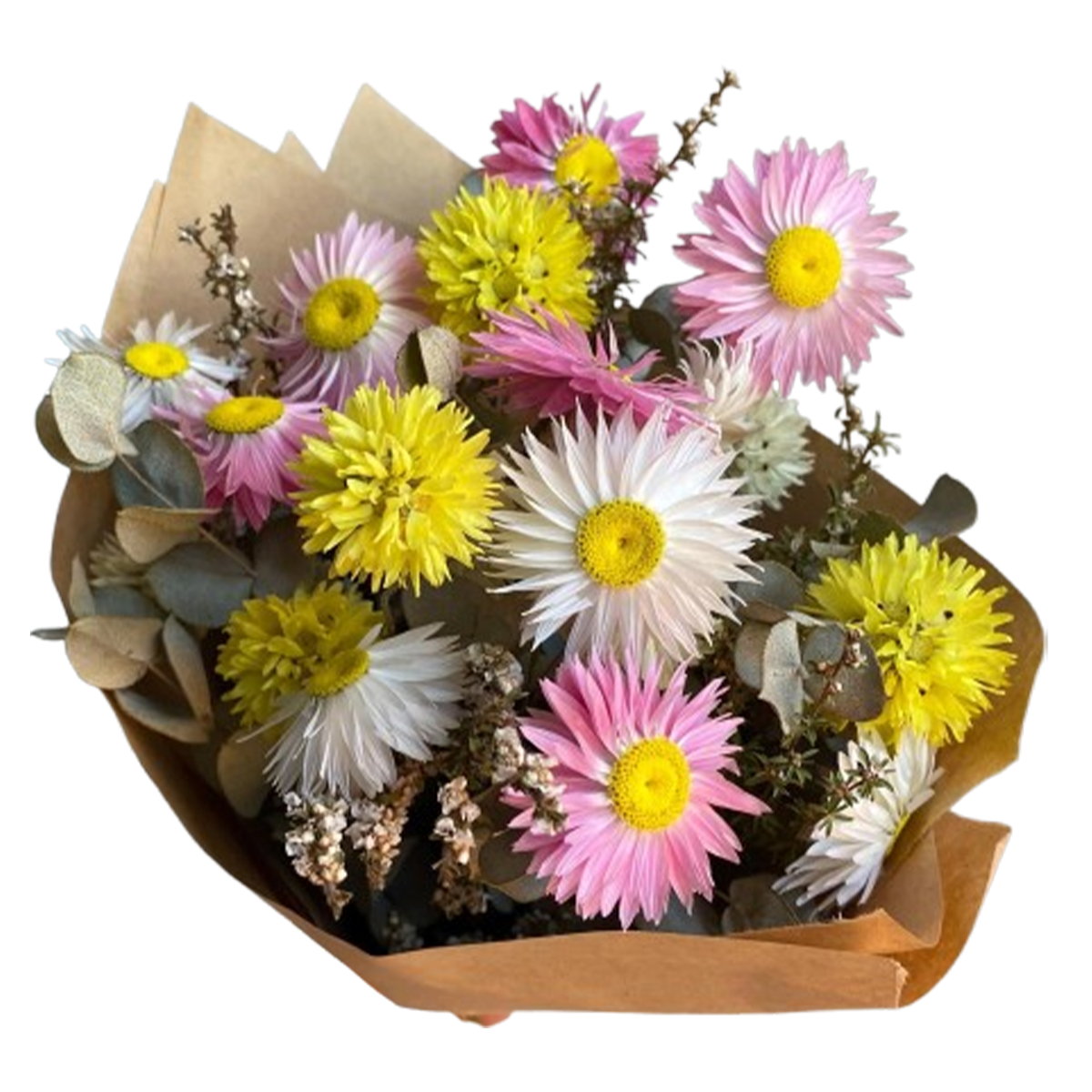Flowers Paper Daisy Bunch