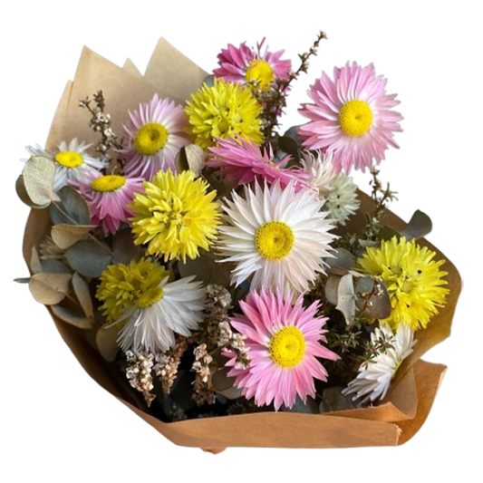 Flowers Paper Daisy Bunch