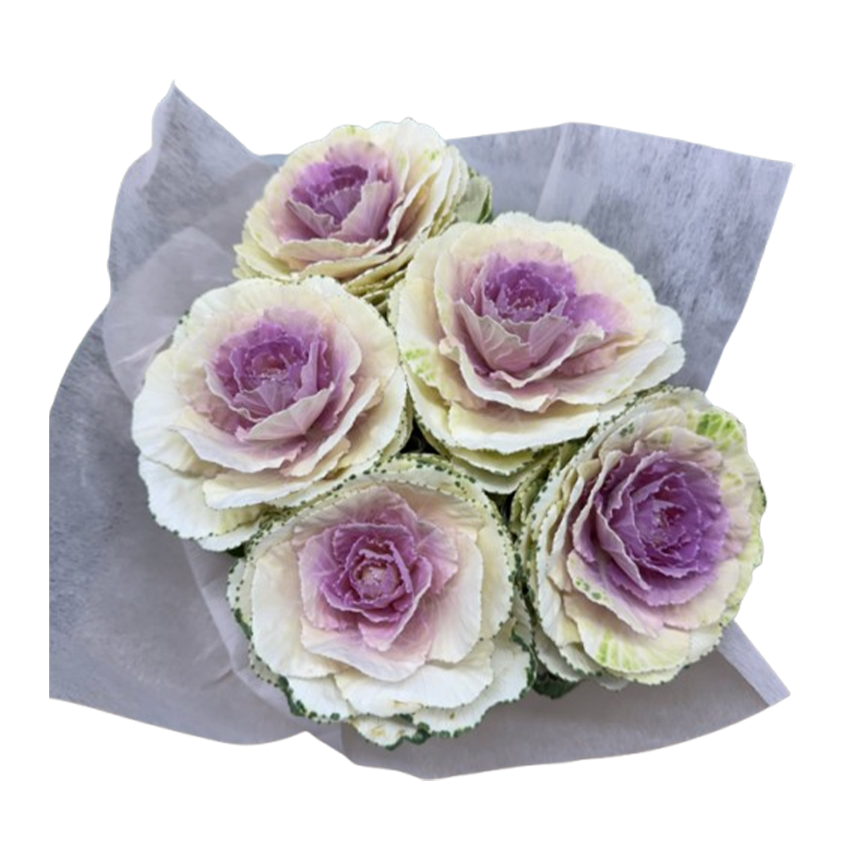 Kale Mix Flower