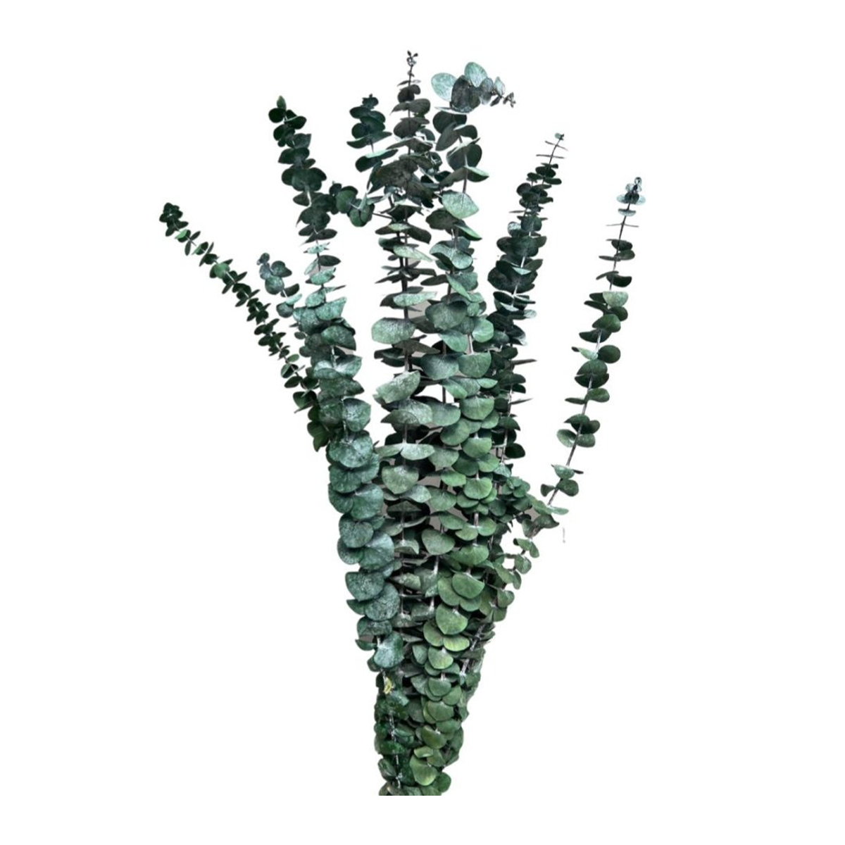 Gum Spinning Leaves