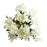 Flowers Chrysanthemum Bunch