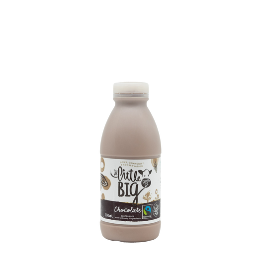 The Little Big Dairy Milk Chocolate 500ml