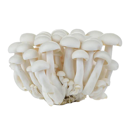 Mushrooms Shimeji White 350g