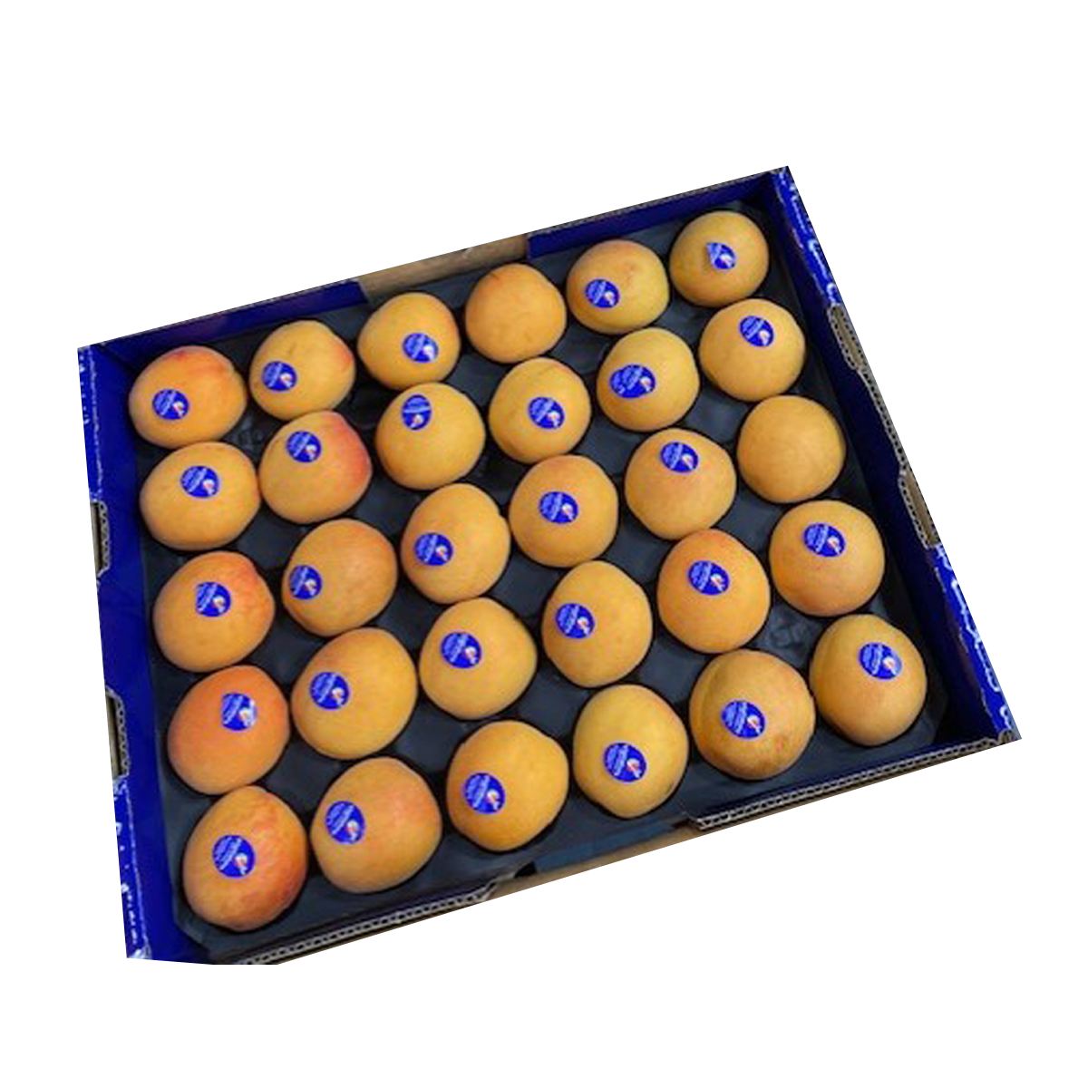 Apricot Tray 3kg