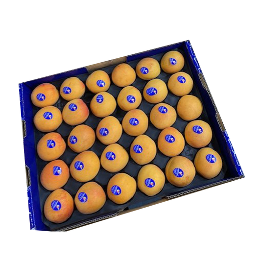 Apricot Tray 3kg
