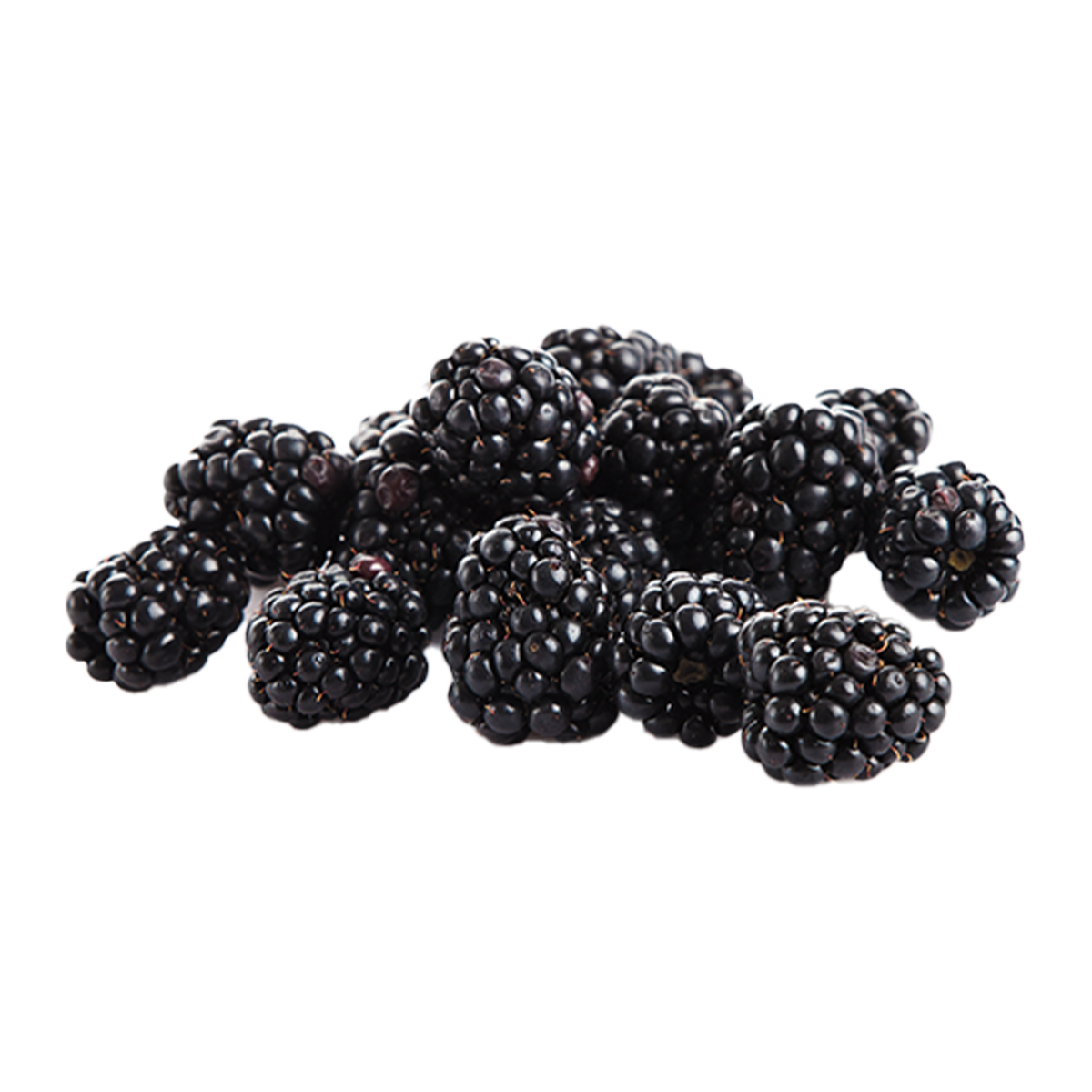 Blackberries 170g | Harris Farm Markets Online