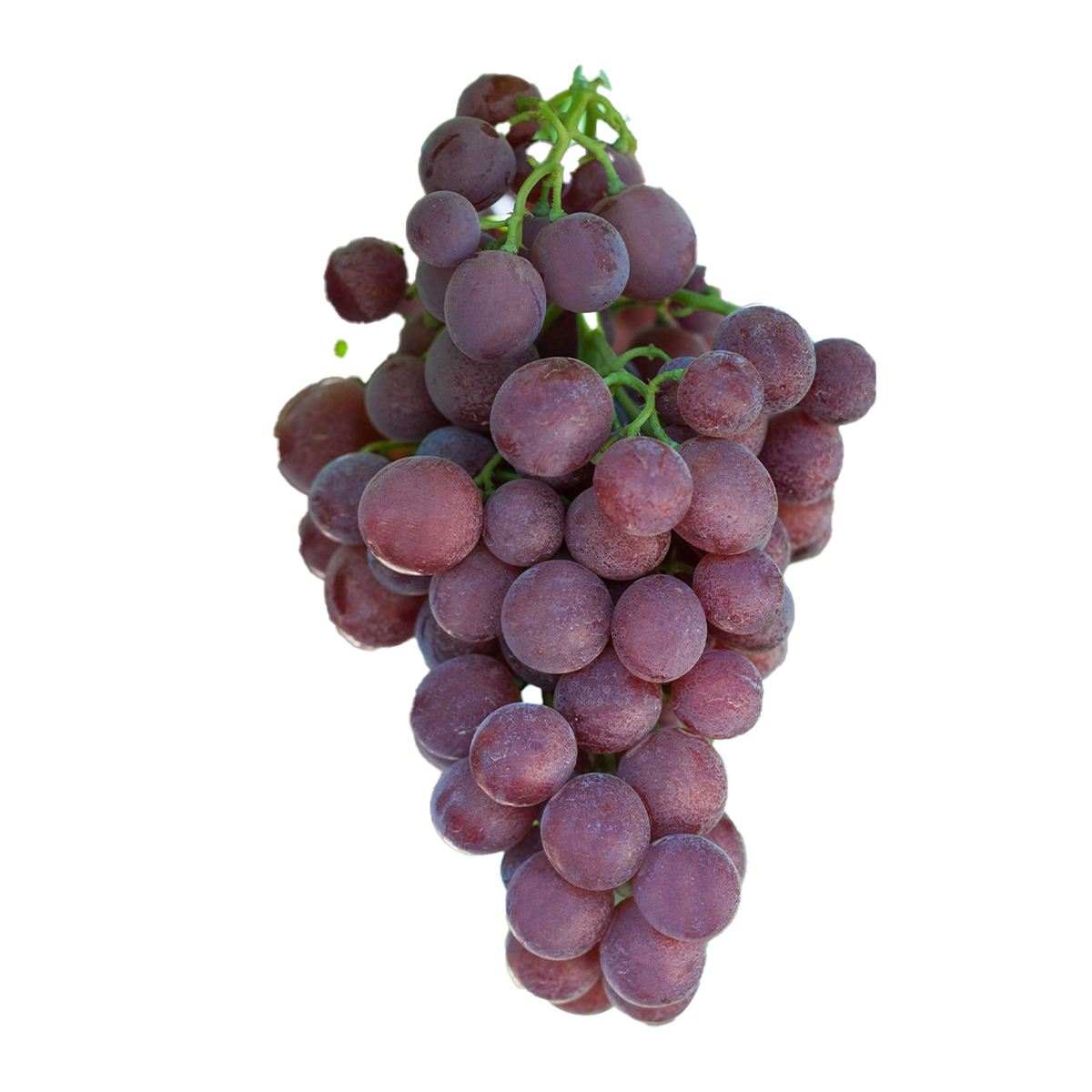 Grapes Sweet Nectar 500g