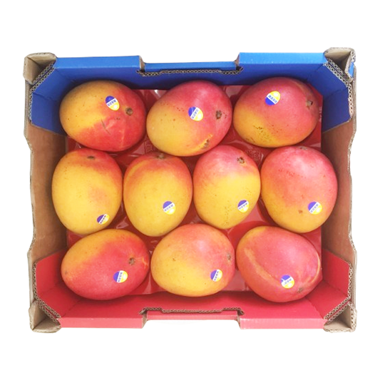 Mango R2E2 Tray