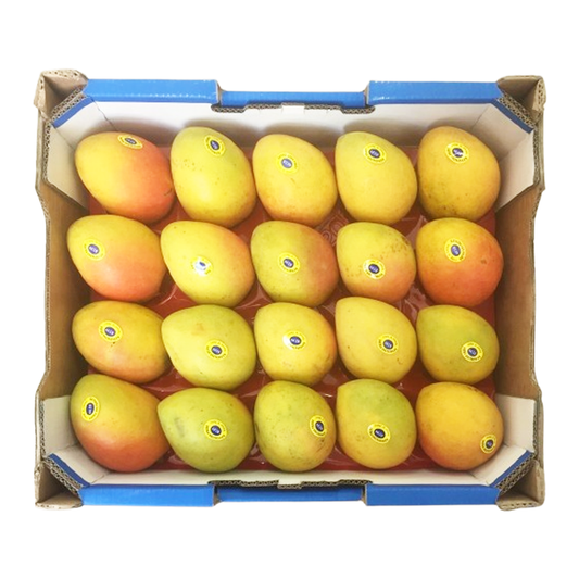 Mango Small Kensington Pride Tray