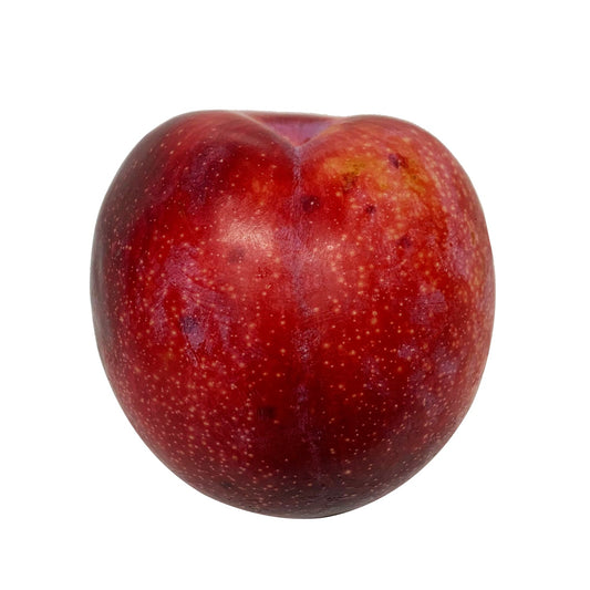Plum September Candy | Harris Farm Online