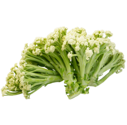 Fioretto Each
