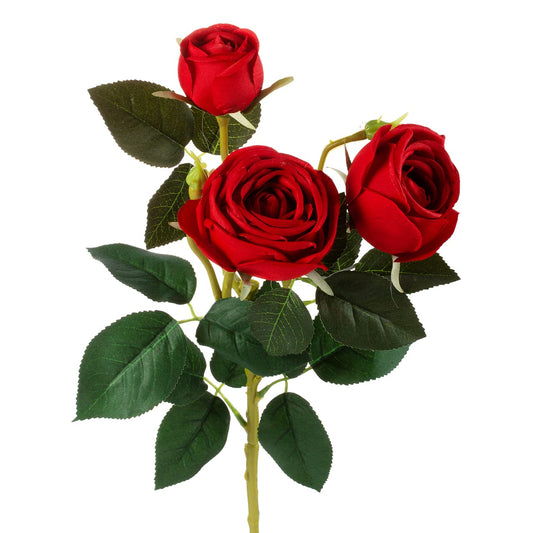 Flowers Roses Red Bouquet 3 Stems