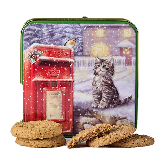 Grandma Wild Kitten & Postbox Tin Biscuits 200g