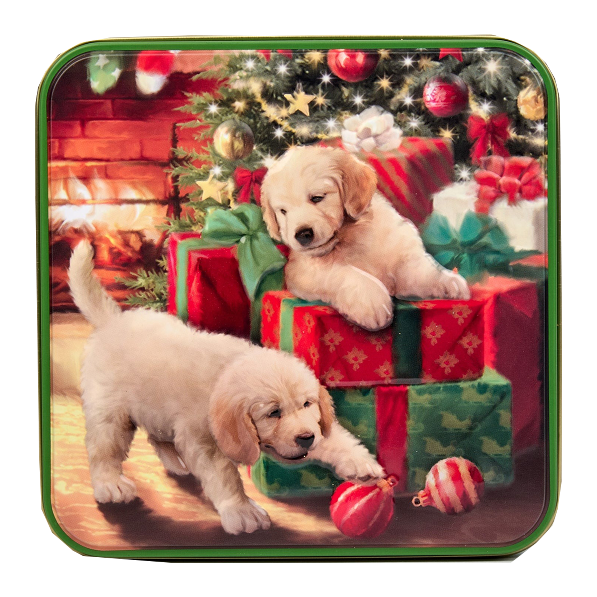 Grandma Wild Puppies and Present Tin Biscuits 200g