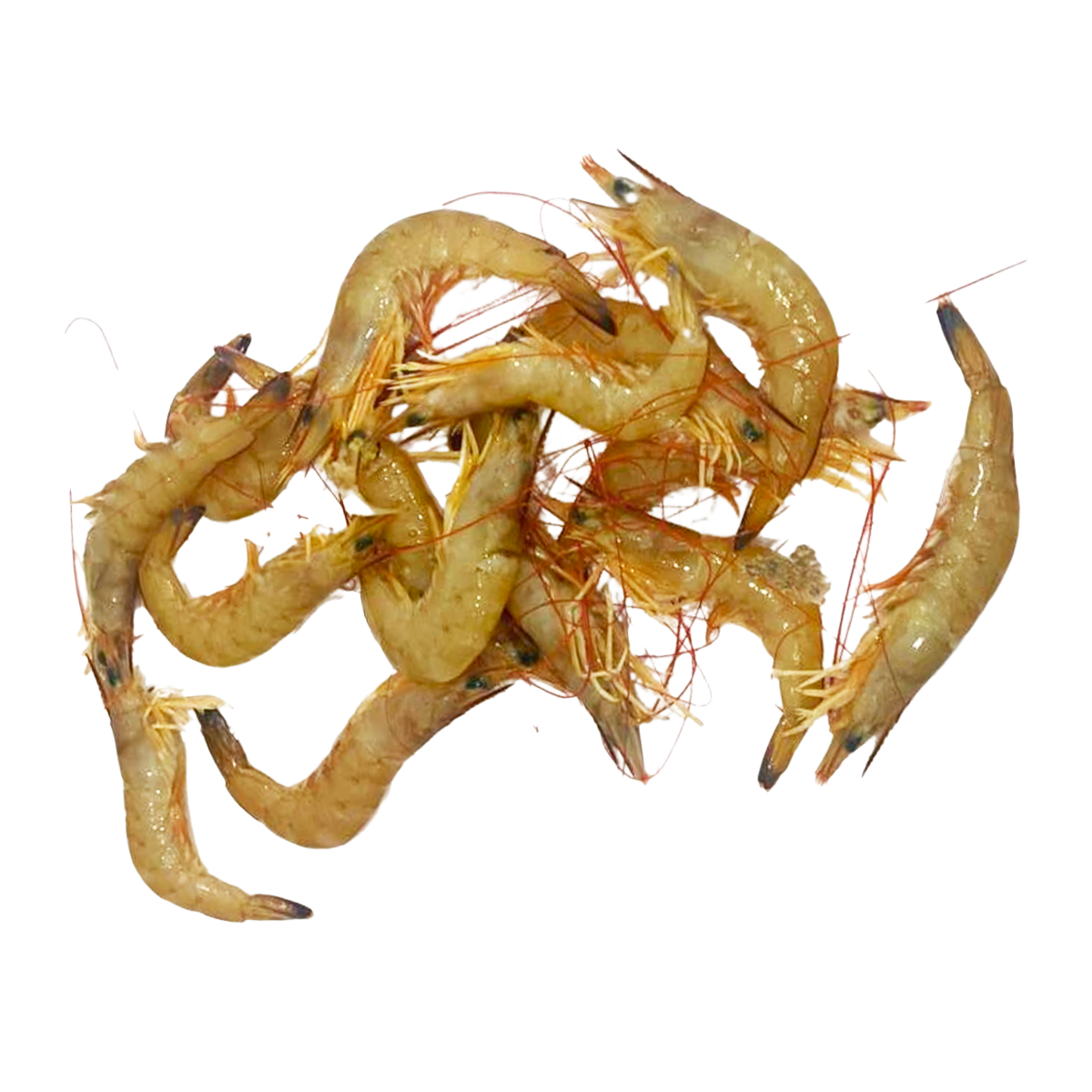 Fish in the Family Wild Caught Raw Endeavour Prawns min 500g