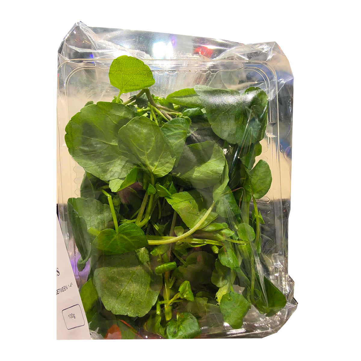 Riviera Watercress Salad Prepack 100g