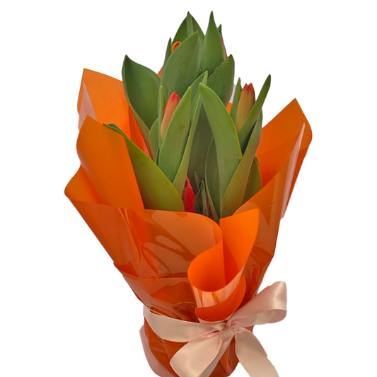 Flowers Tulips