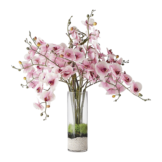 Phalaenopsis Orchid in Candle Vase Glass