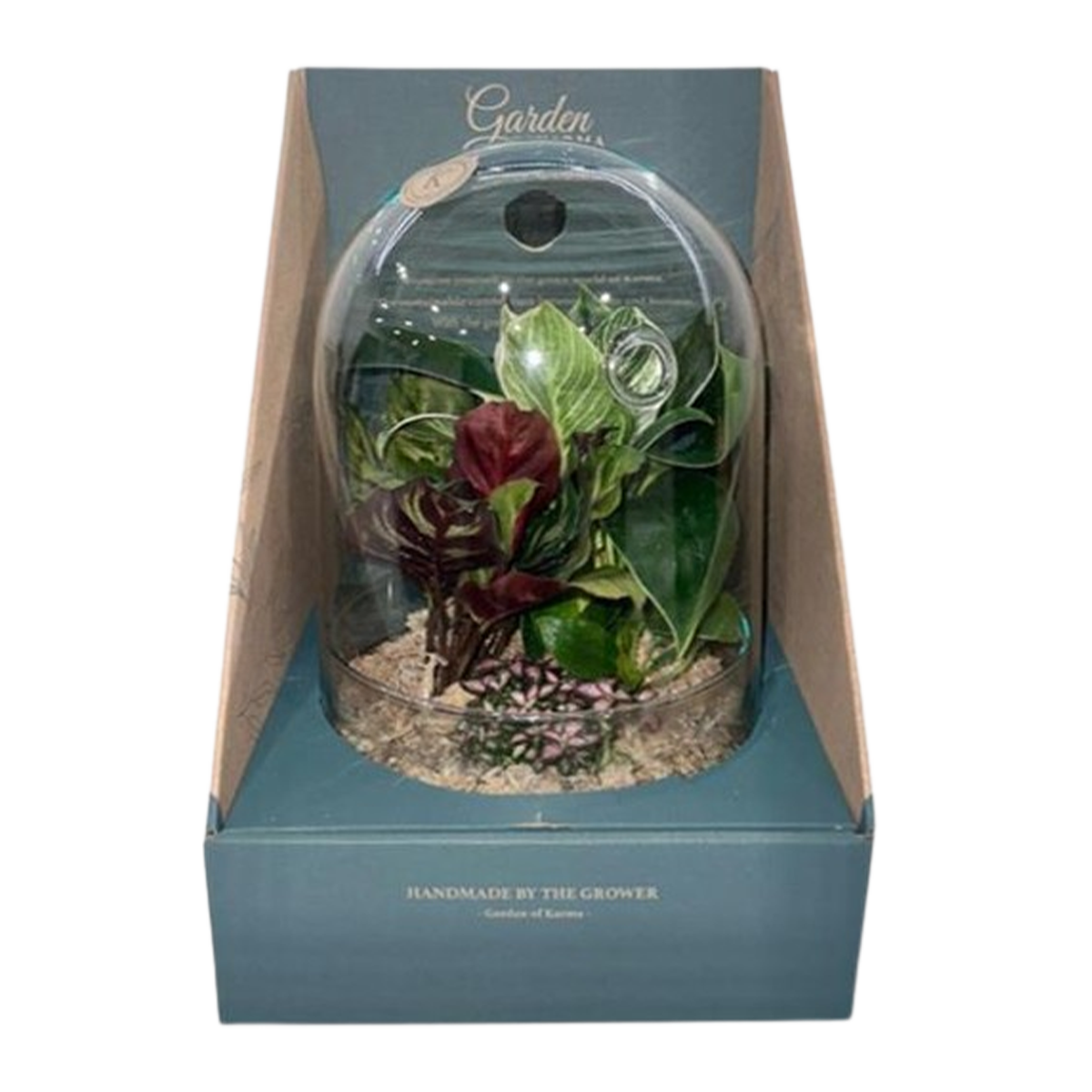 Garden of Karma Foliage Glass Terrarium