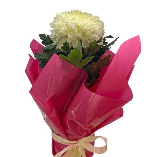 Flowers Disbud Single