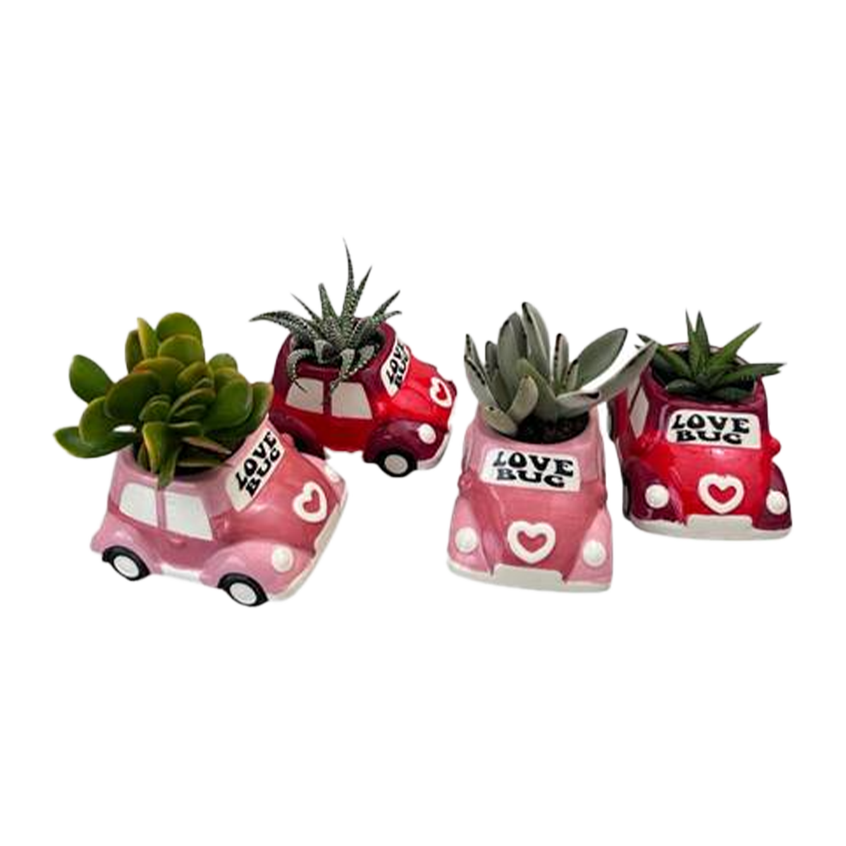 Succulent Plant Designer Pot 60cm