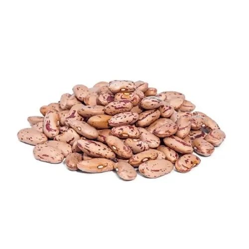 Borlotti Cranberry Beans 100g